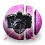 PhotoToWeb Logo